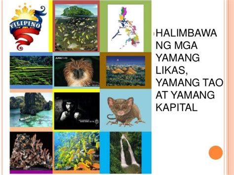 likas na yaman ng cavite|LIKAS NA YAMAN: GAMITIN AT I PANGALAGAAN .